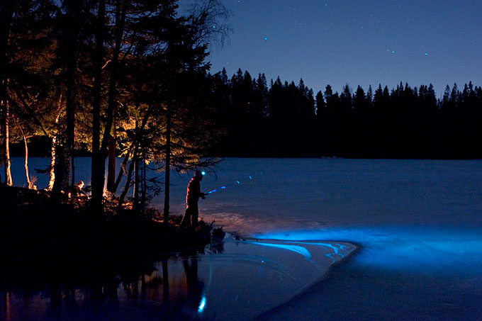 Nattfiske. Aurevann, Lillomarka. © Marius Nergård Pettersen