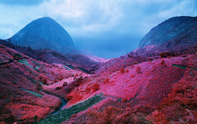 Poison Glen, South Kivu, eastern Congo, 2012 © Richard Mosse Courtesy of the artist and Jack Shainman Gallery