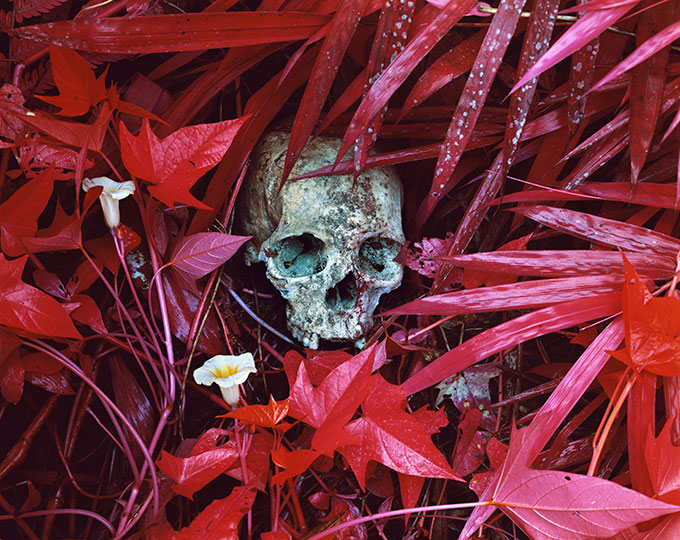 Of Lilies and Remains, Eastern Congo, 2012 © Richard Mosse Courtesy of the artist and Jack Shainman Gallery