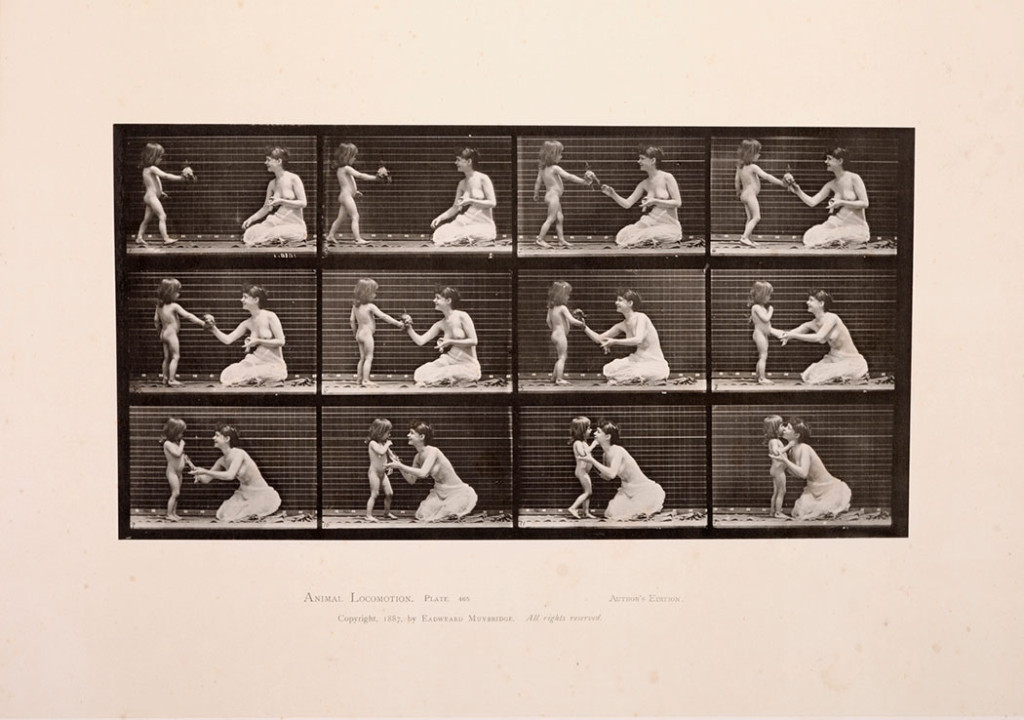 Eadweard Muybridge, Fra serien Animal Locomotion, Plate 465, 1886 – 1887. Tilhører Preus museum.