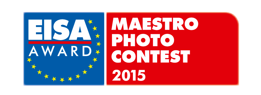 Logo-maestro-2015