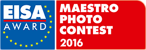 Logo-maestro-2016